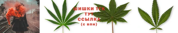 крисы Бугульма